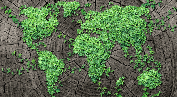 investir dans l'économie verte - entreprise hydrogène bourse - investir dans l'hydrogène - illustration carte du monde bois